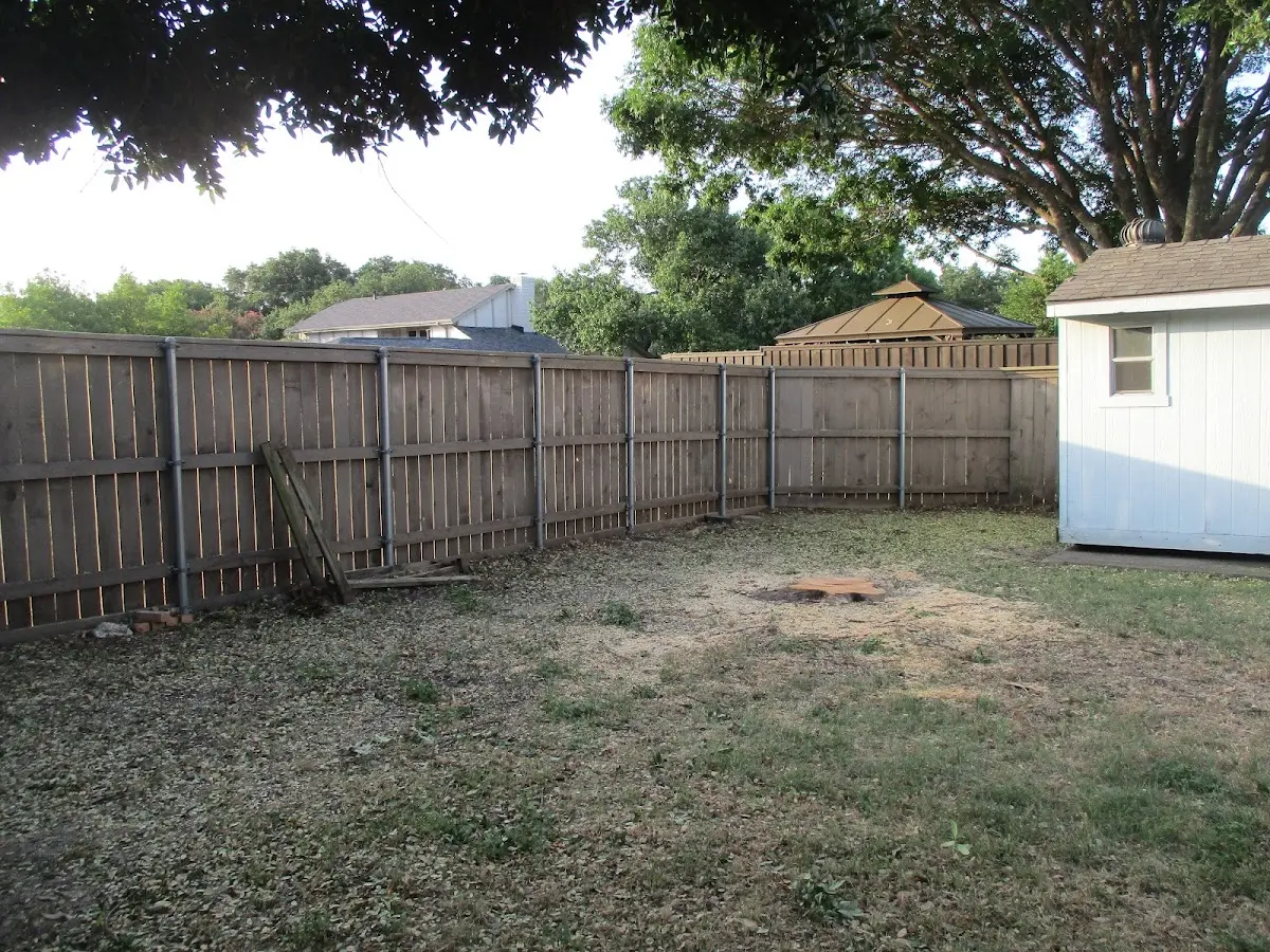 Cleared yard after professional tree removal in Parshall